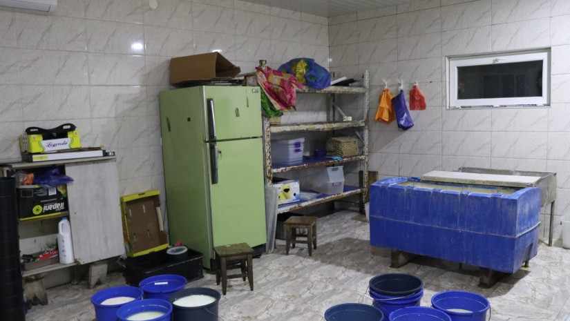 ყველის საწარმო