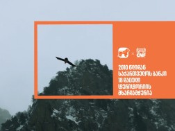 დაცულ