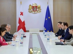 შეხვედრა ელჩთან
