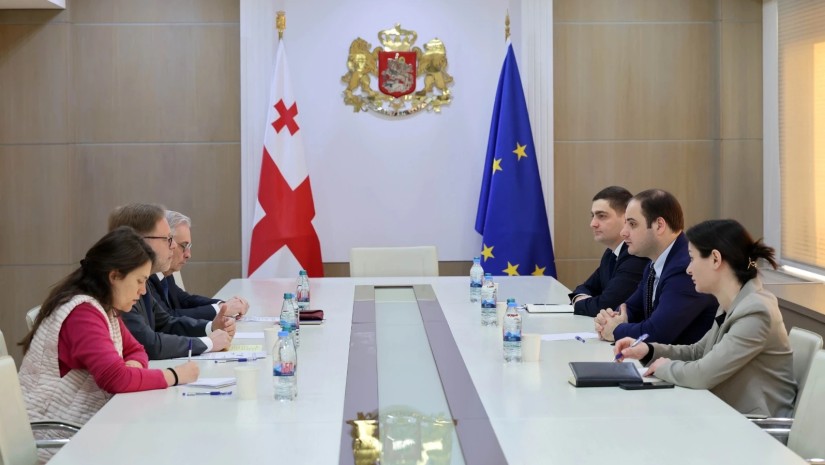შეხვედრა ელჩთან
