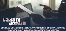 საჯარო პოლიტიკური აქტივობა