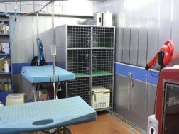 ვეტერინარული კლინიკა