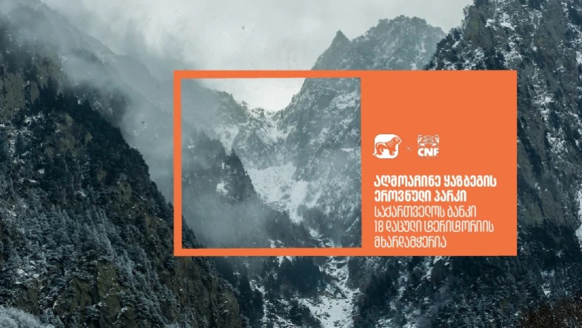 დაცული ტერიტორიები