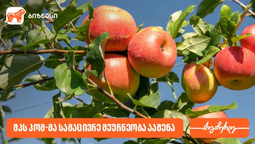 ვაშლი