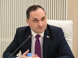 ზვიად გაბისონია