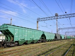 ხორბალი