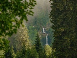 ლებარდე