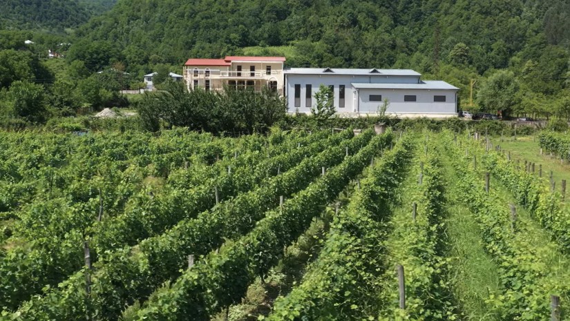 რაჭა