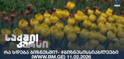 #ბიზნესისსიახლეები