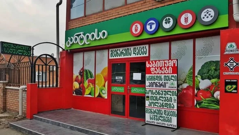 კარტლისი