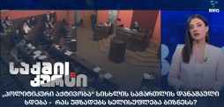 „პოლიტიკური აქტივობა“