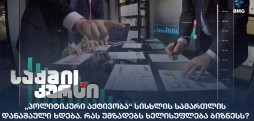 „პოლიტიკური აქტივობა“