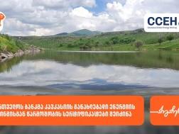 საქართველოს ბანკი