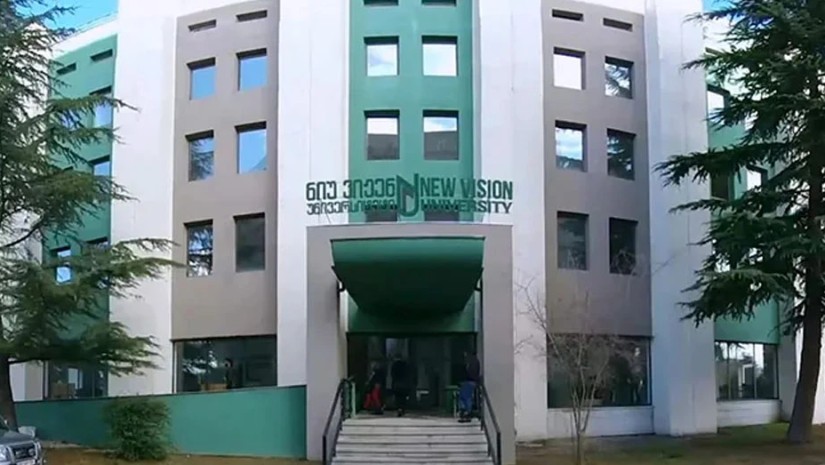 ნიუ ვიჟენ უნივერსიტეტი