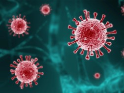 Respiratory Syncytial Virus
