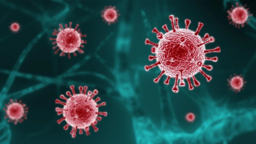 Respiratory Syncytial Virus 