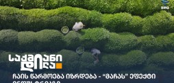 ჩაის წარმოება