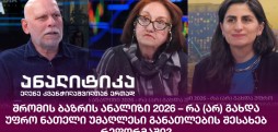 შრომის ბაზრის ანალიზი 2026