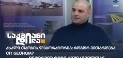 ტიტე ჯიშიაშვილი