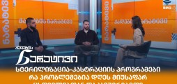 მიუსაფარი ცხოველები