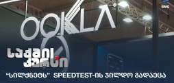 სილქნეტი