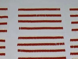 232