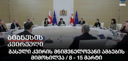 გასული კვირის მნიშვნელოვანი ამბების მიმოხილვა / 8 - 15 მარტი