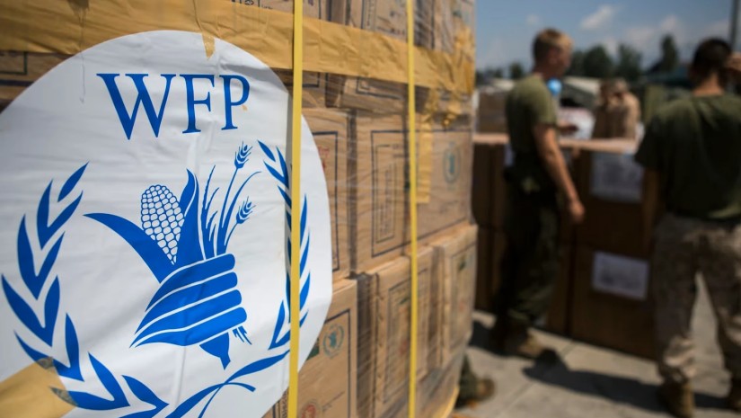 wfp