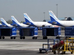 INDIGO