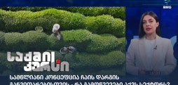 ჩაის დარგი