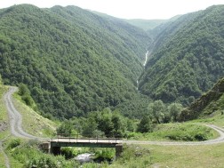 მუნიციპალიტეტი