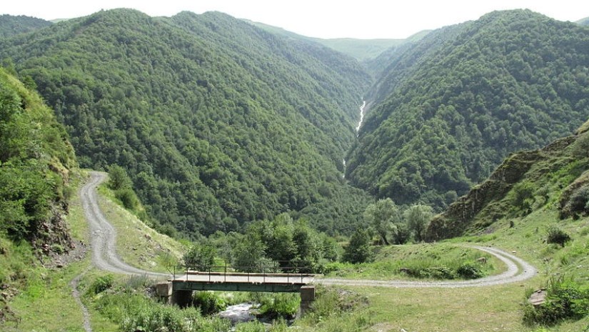 მუნიციპალიტეტი