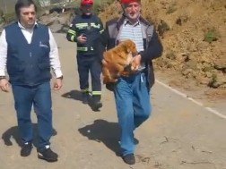 სეს