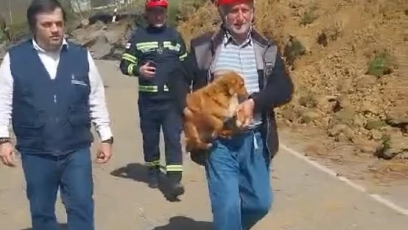სეს