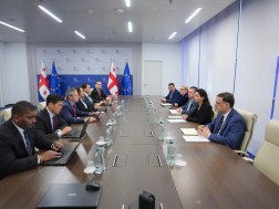 მარიამ ქვრივიშვილი IMF