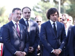 დავით სონღულაშვილი