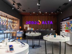 ალტა