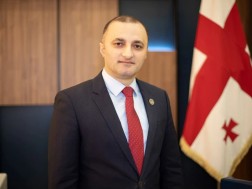 დავით გაბაიძე