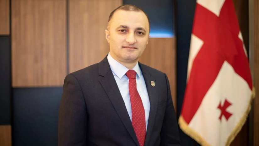 დავით გაბაიძე