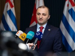 დავით გაბაიძე