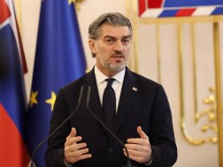მიხეილ ყაველაშვილი