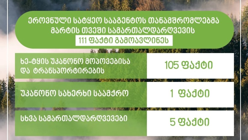 ეროვნული სატყეო სააგენტო