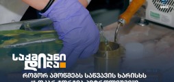 საწვავის ხარისხი