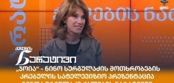 ნინო სურგულაძე