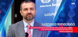 7 აპრილი - ჯანმრთელობის მსოფლიო დღე - სილვიუ დომენტე