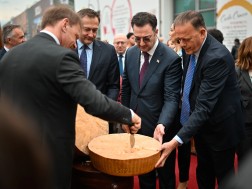 დავით სონღულაშვილი