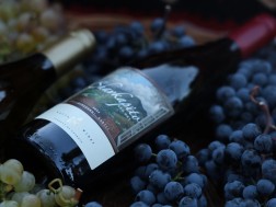 KAVTA WINES