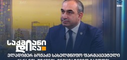 ვლადიმერ ბოჟაძე