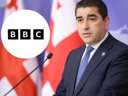 შალვა პაპუაშვილი