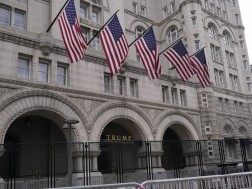 trump organization